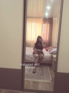 Проститутка Алматы Девушка№168656 Я Новенькая Фотография №2154324