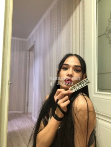 Транс Шымкента Транс№339932 Царица Фотография №2654504
